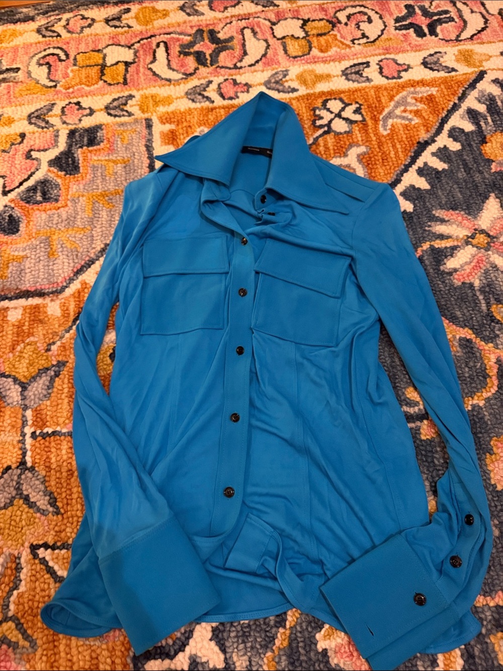 NWOT Proenza Schouler Blue Women's Button down SZ 6